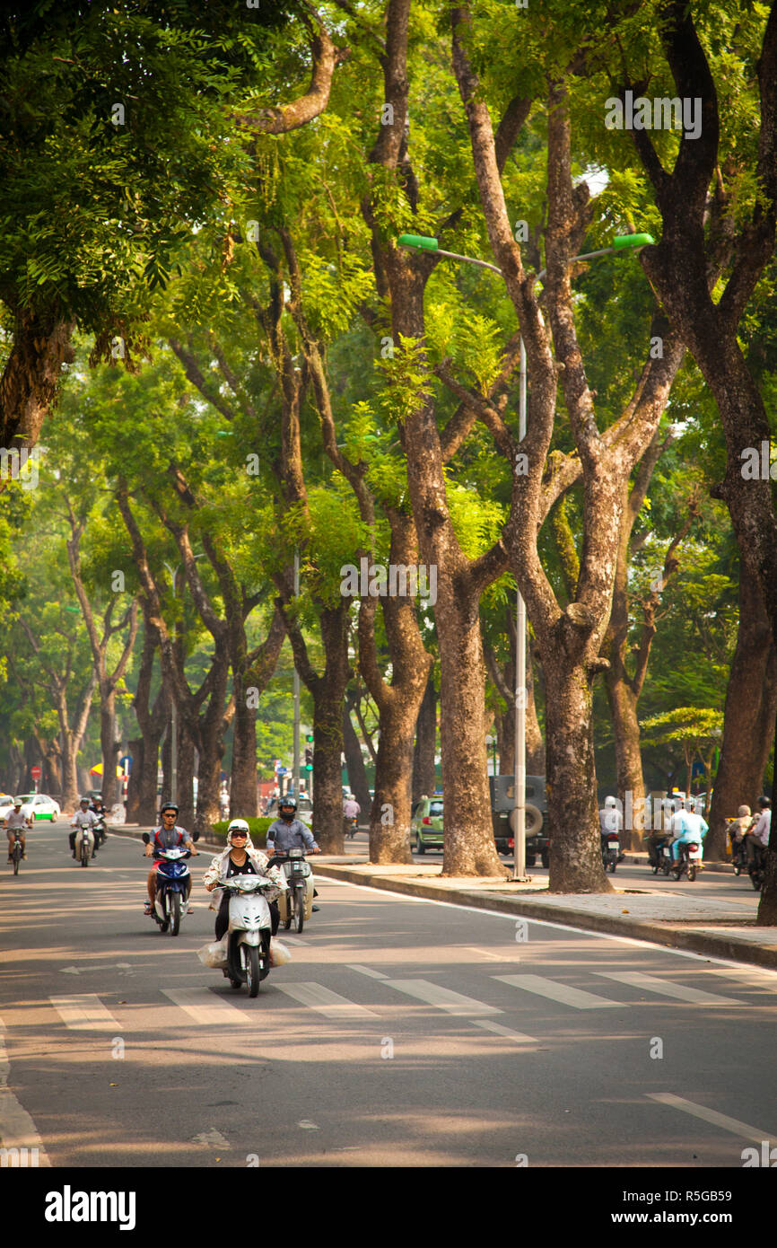 Von Bäumen gesäumten Boulevard im Ba Dinh District, Hanoi, Vietnam Stockfoto