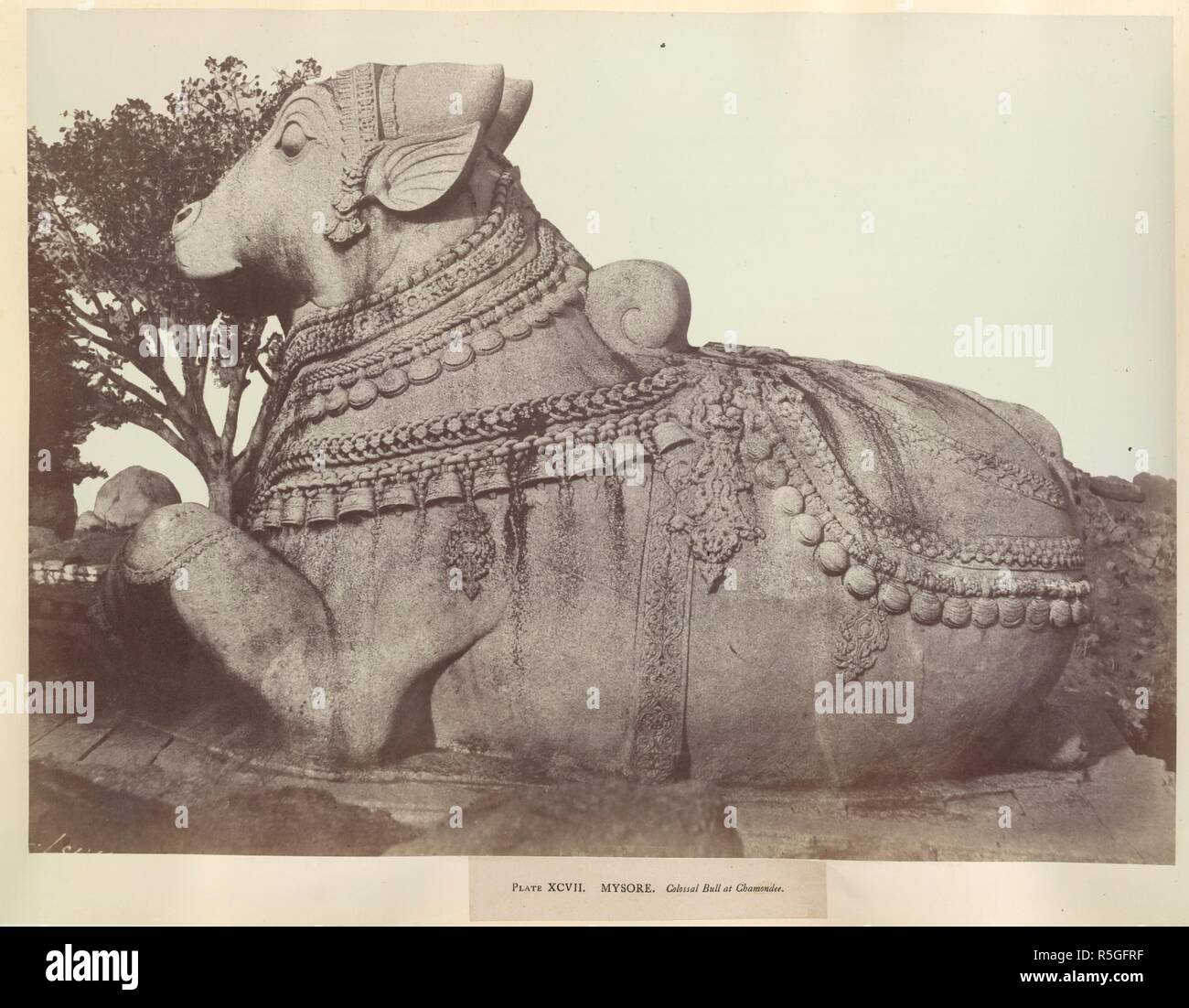 Mysore. Kolossale Stier an Chamondee. [Chamundi.]. Colonel Philip wiesen Taylor und James Fergusson, "Architektur in Dharwar und Mysore" (John Murray, London, 1866). 1856. Foto. Quelle: Foto 965/1 (97). Sprache: Englisch. Autor: Pigou, William Henry. Stockfoto