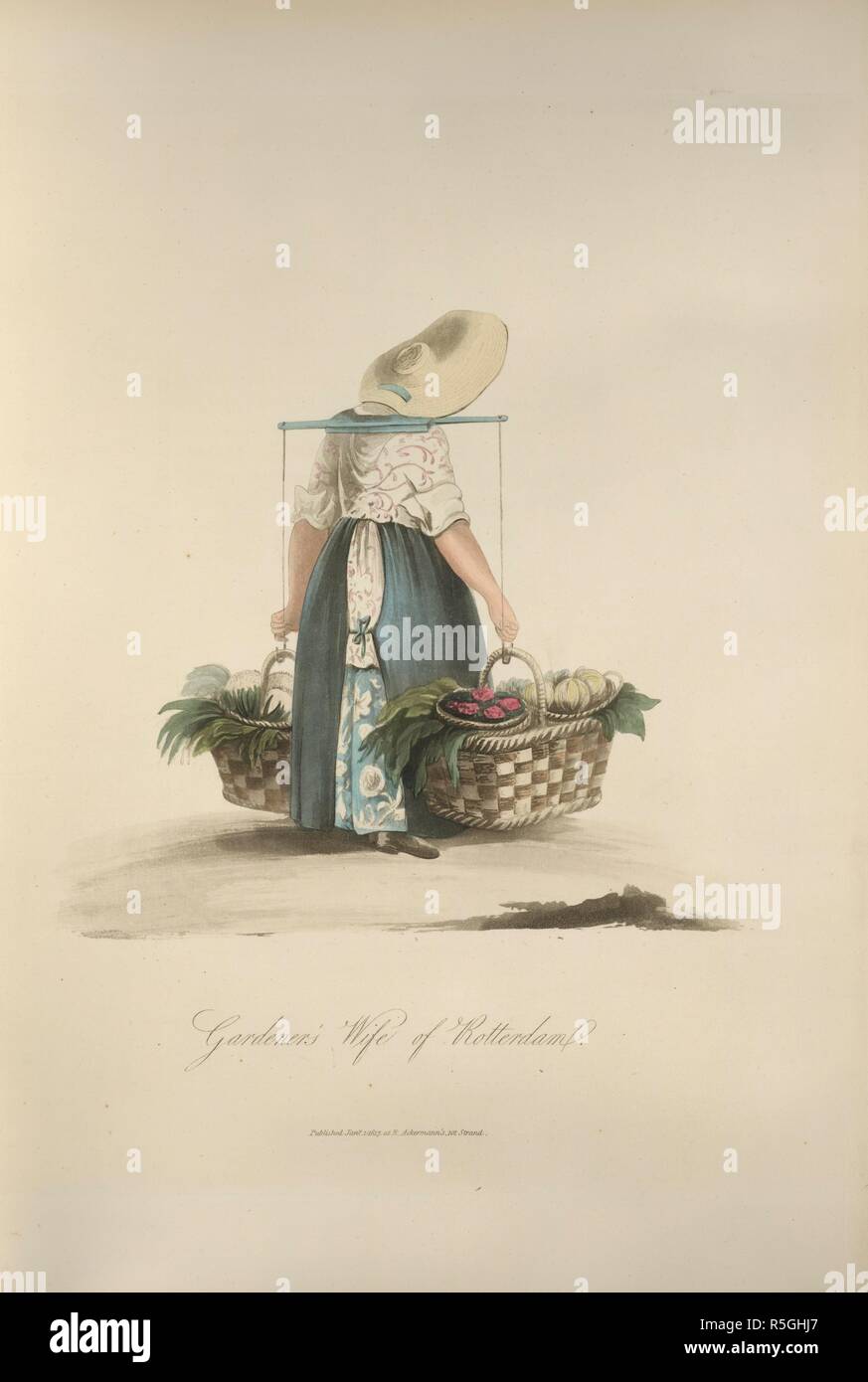 Die Gardener's Frau von Rotterdam. Eine Frau, die zwei Körbe mit Obst und Gemüse zu verkaufen. Das Kostüm der Niederlande angezeigt in 30 farbigen Stiche nach Zeichnungen nach der Natur von Miss Semple; mit Beschreibungen in Englisch und Französisch. London, 1817. Quelle: 140. g 20, gegenüberliegenden Seite 8. Sprache: Englisch/Französisch. Stockfoto