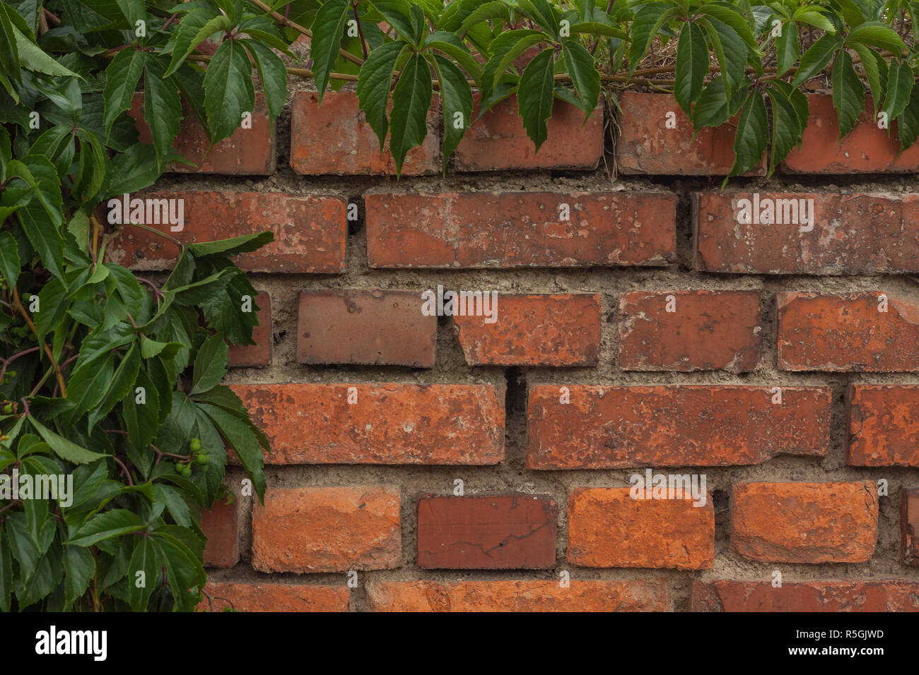 Wand als Hintergrund Stockfoto