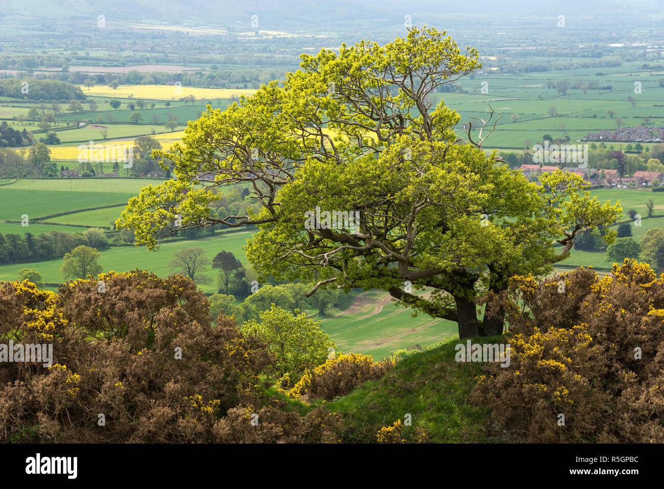 Cliff Rigg Steinbruch in der Nähe von roseberry Topping in den Hügeln von North Yorkshire, England. Stockfoto