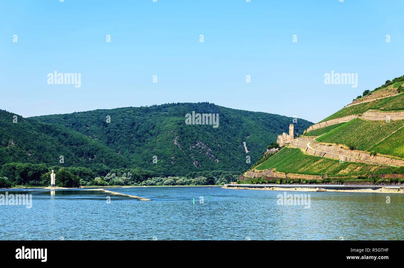 Ruine Ehrenfels hangburg Rhein rheingau Taunus zollburg Stockfoto