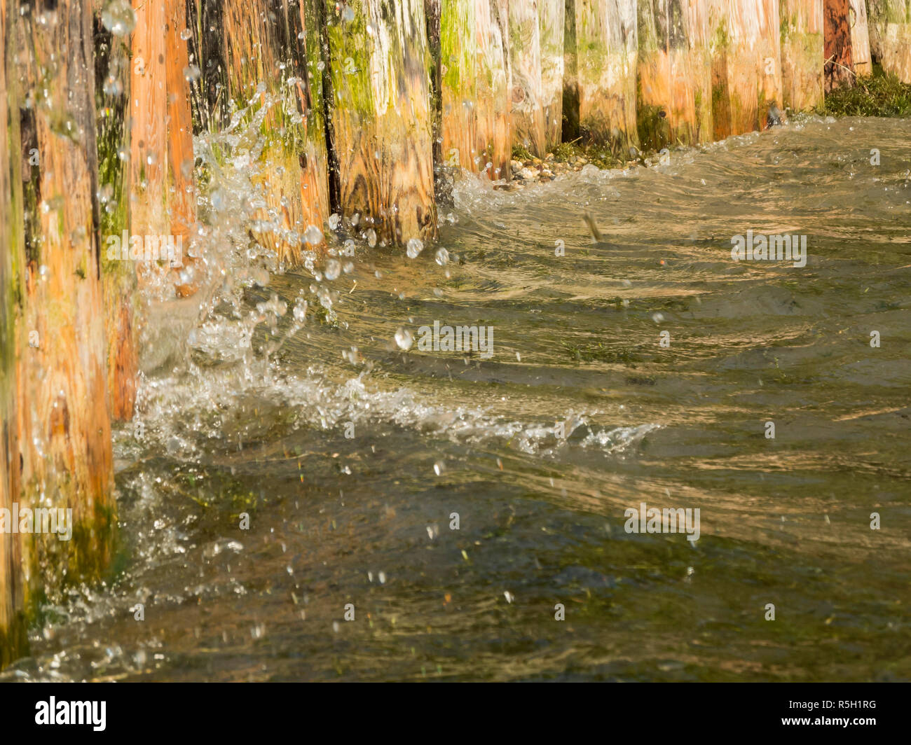 Weiches Wasser am Ufer Stockfoto