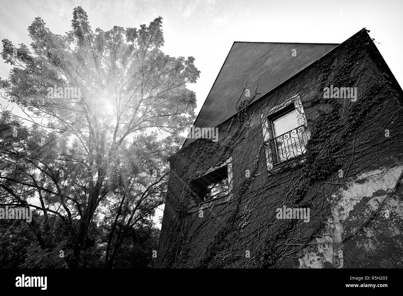 Schönes Haus mit einer Baumansicht in der Uvoz Straße in der Altstadt von Prag in der Nähe von Weinberg auf einem Hügel in Prag, Tschechische Republik. Schwarz und Weiß. Stockfoto