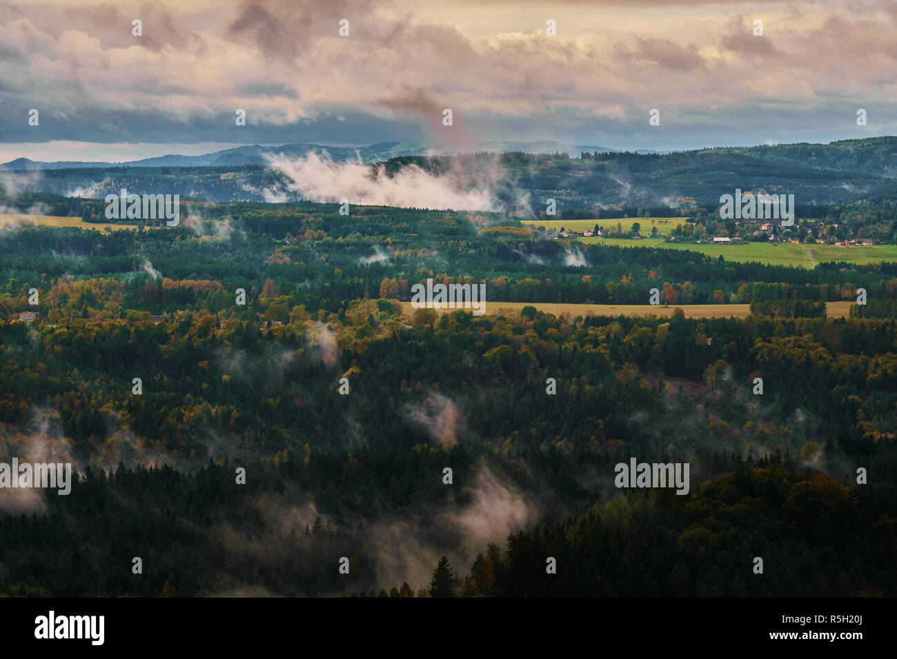 Neblige Landschaft. Misty nebligen Morgen mit Sonnenaufgang in einem Tal der Böhmischen Schweiz Park. Detail der Wald, Landschaft, der Tschechischen Republik, schöne n Stockfoto