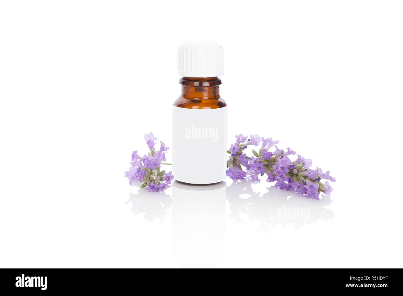 Lavendel ätherisches Öl. Stockfoto