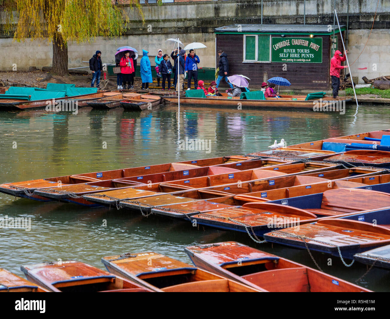 Cambridge Tourismus Winter - asiatische Touristen Warteschlange im Regen chauffieren Stocherkähne auf dem Fluss Cam im Zentrum von Cambridge Großbritannien zu nehmen Stockfoto