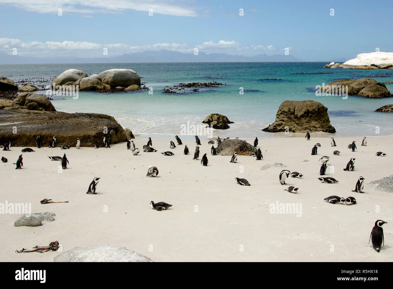 Erstaunliche Landschaften von Südafrika, Ansichten von Südafrika Stockfoto