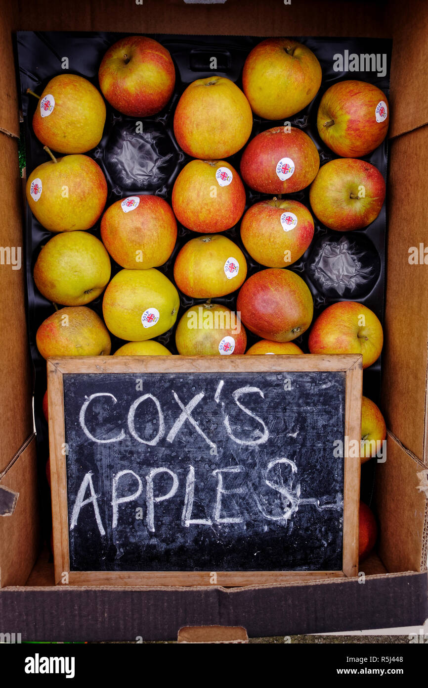 Box von Cox's Äpfel außerhalb Obst Shop. Stockfoto