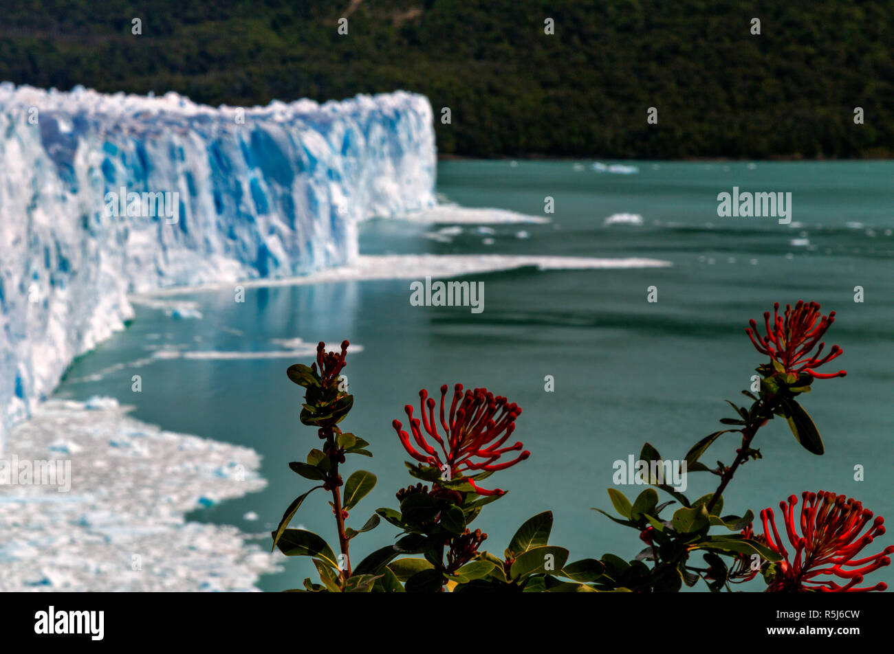 Der Gletscher Perito Moreno. Nationalpark Los Glaciares, Santa Cruz, Argentinien. Stockfoto