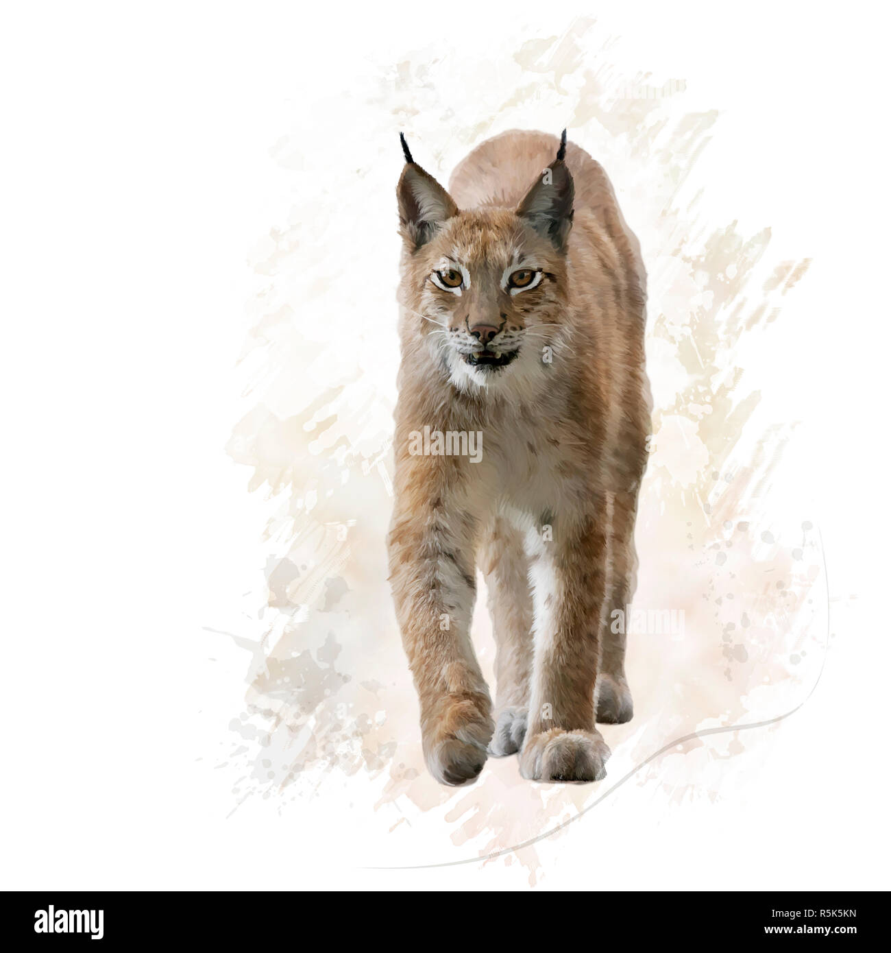 Lynx portrait Aquarell Stockfoto
