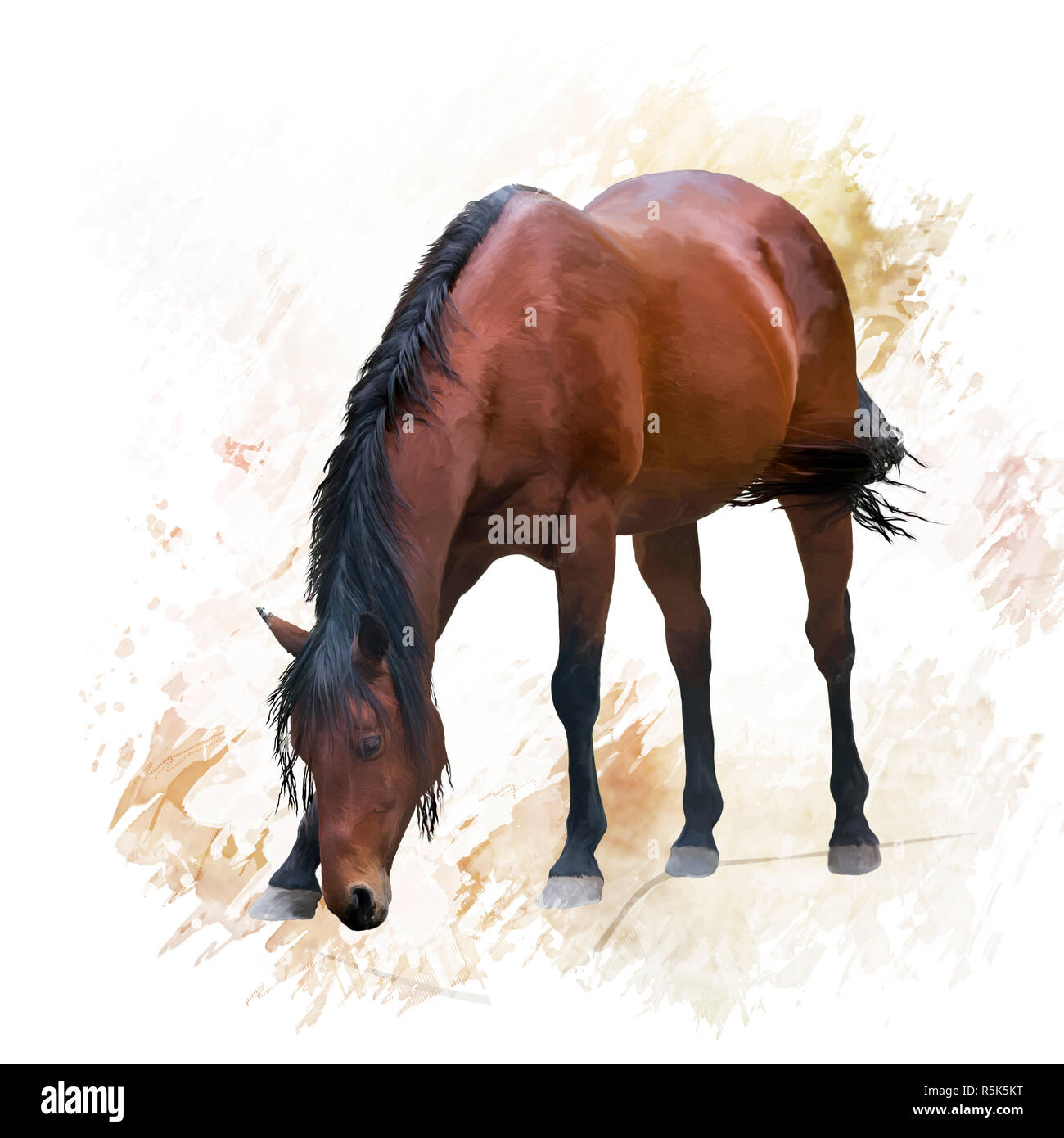 Brown Horse Portrait Stockfoto