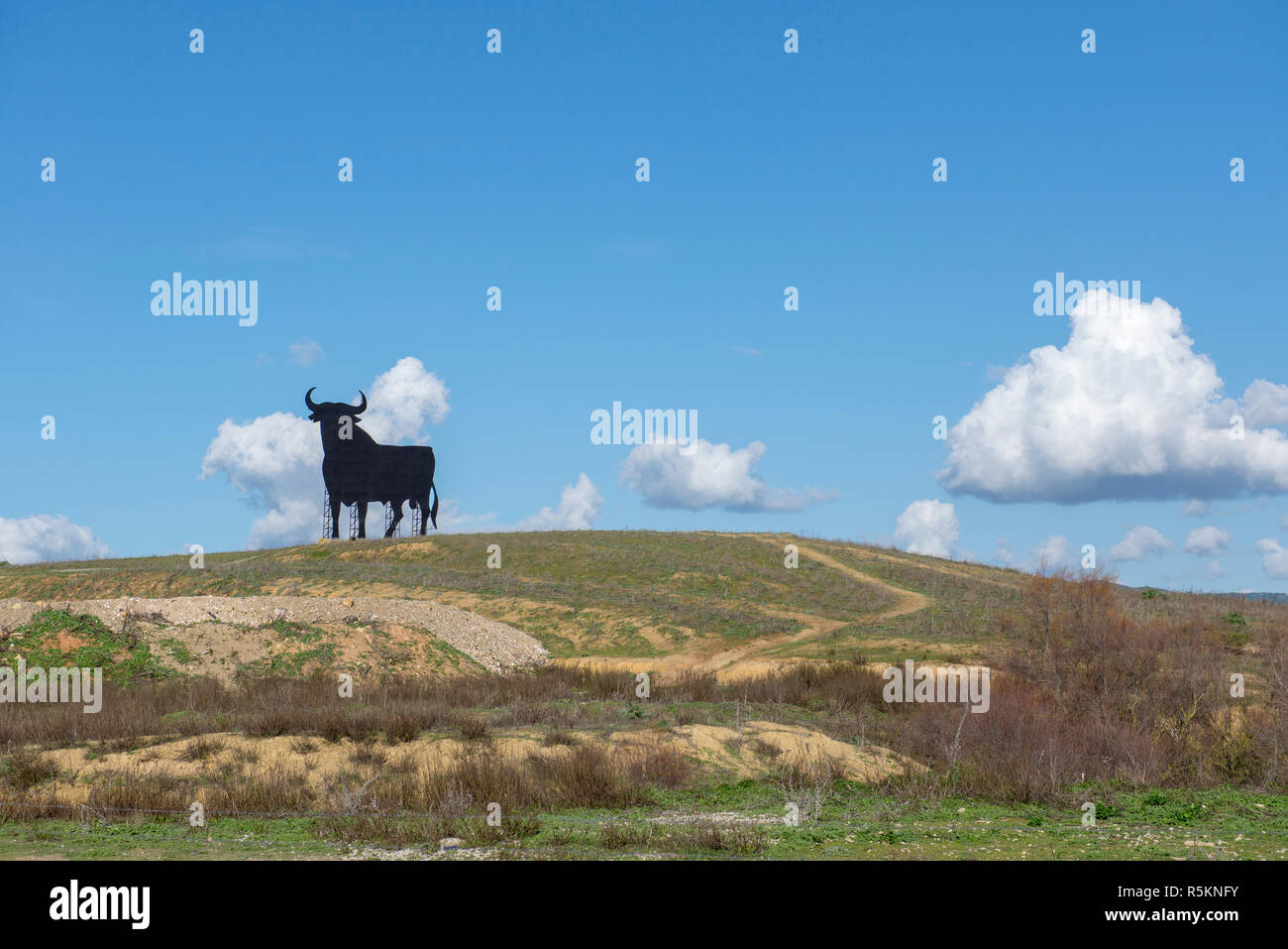 Black Bull Symbol auf Autobahnen in ganz Spanien als eine Anzeige für ein lokales Sherry durch die Osborne Gesellschaft veröffentlicht Stockfoto