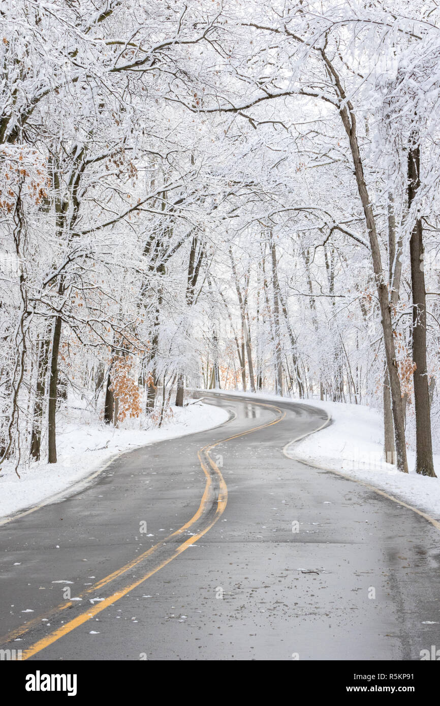 Eine gepflasterte Straße durch ein eisiger Winter Forest schneiden Stockfoto