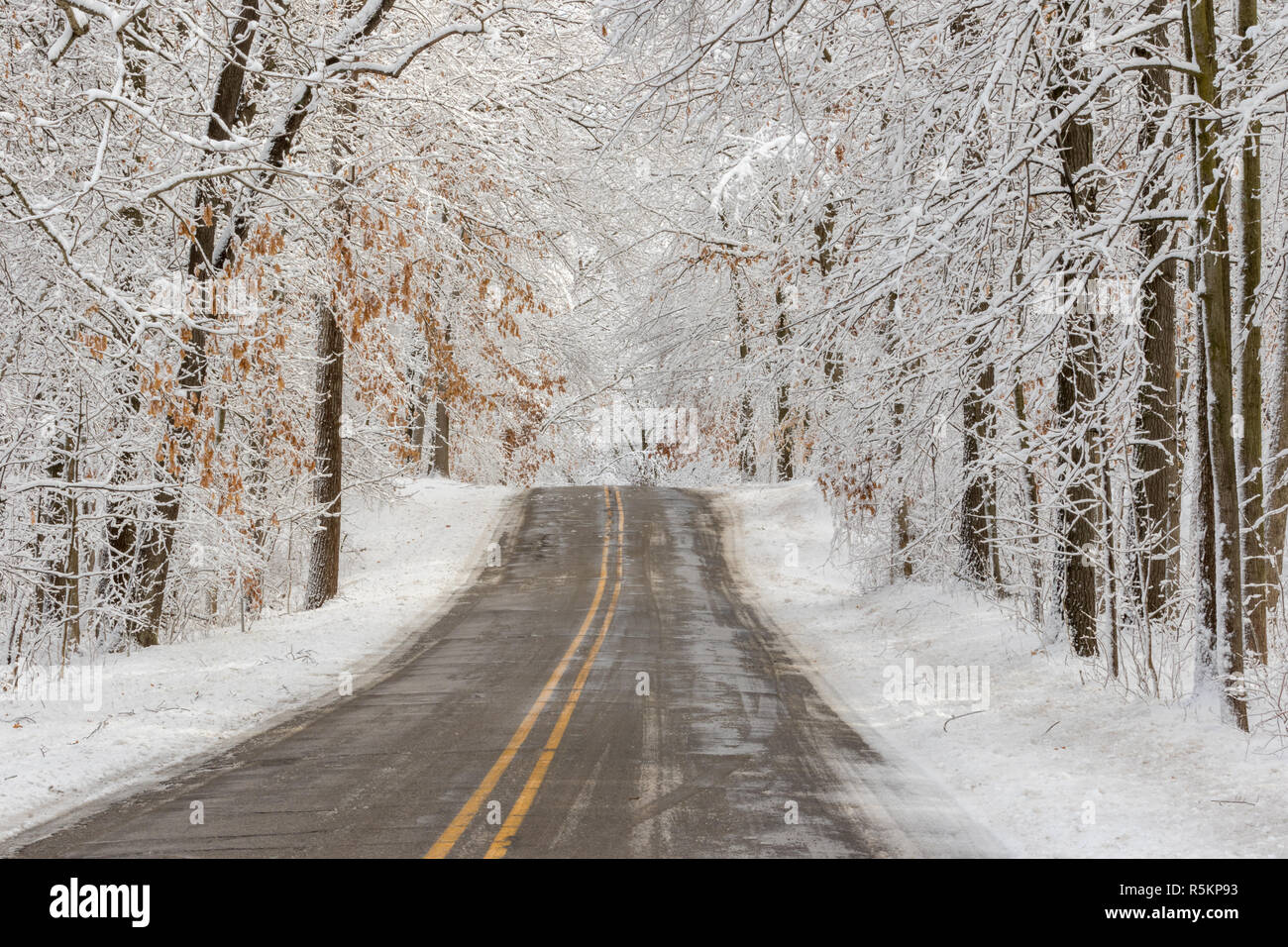 Eine Straße weiter geradeaus durch den verschneiten Winterwald Stockfoto
