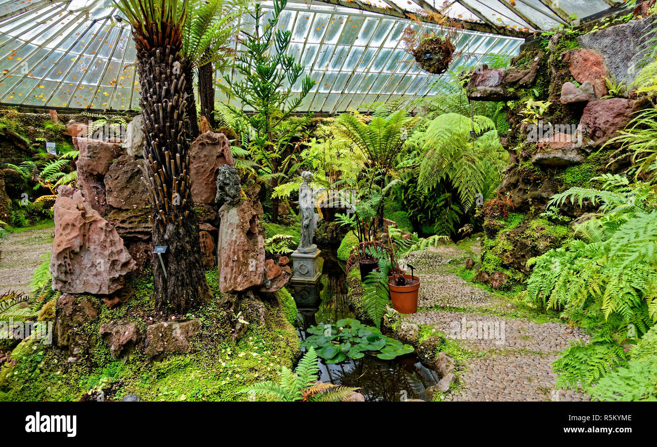 Die Versunkene viktorianischen Fernery an ascog Halle Garten in der Nähe von Rothesay auf der Isle of Bute, Argyll, Schottland. Stockfoto