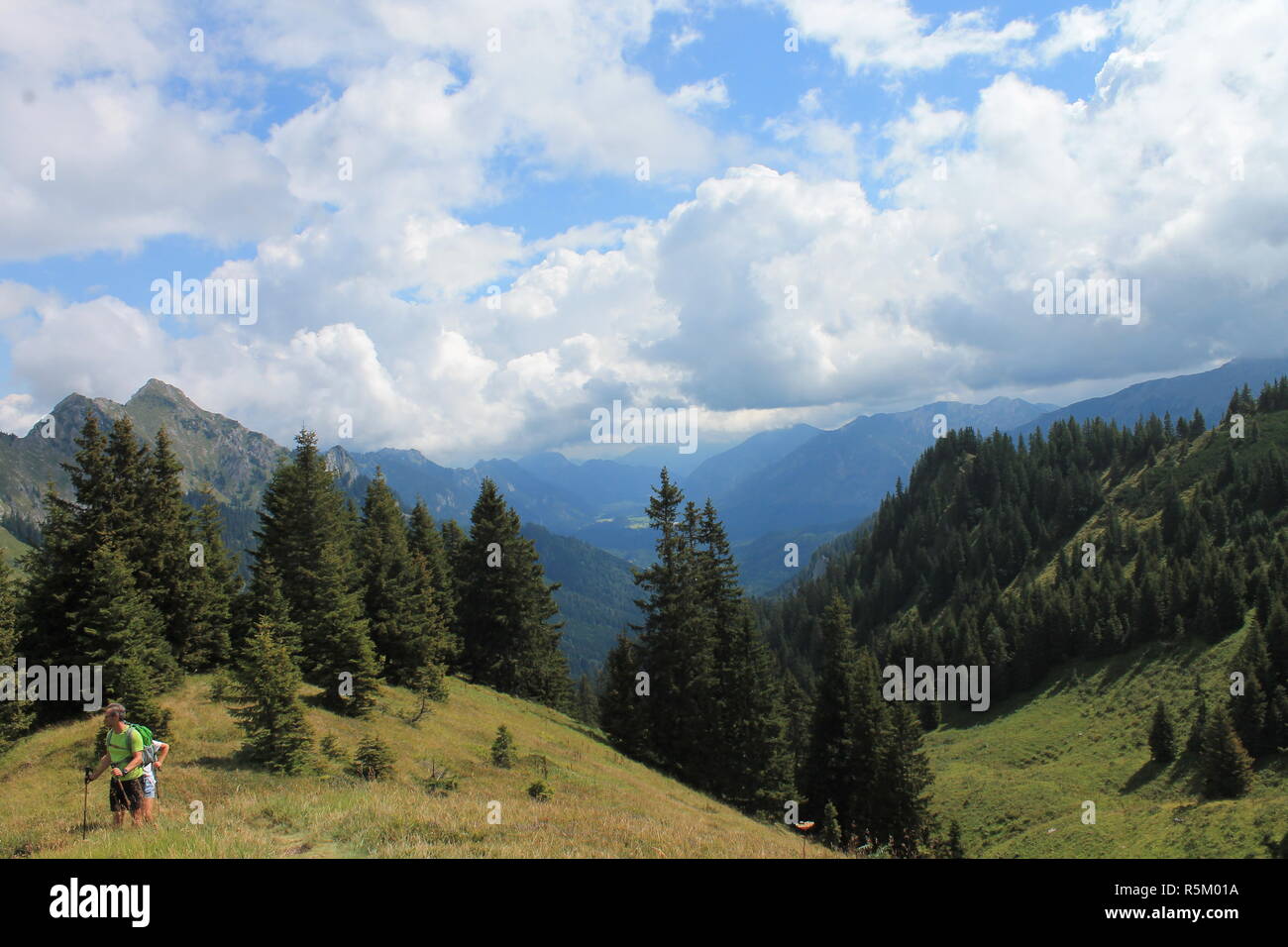 Waldgebiet im Süden Deutschlands. In Bayern gibt es eine riesige Berglandschaft, die besonders bei Touristen beliebt ist. Stockfoto