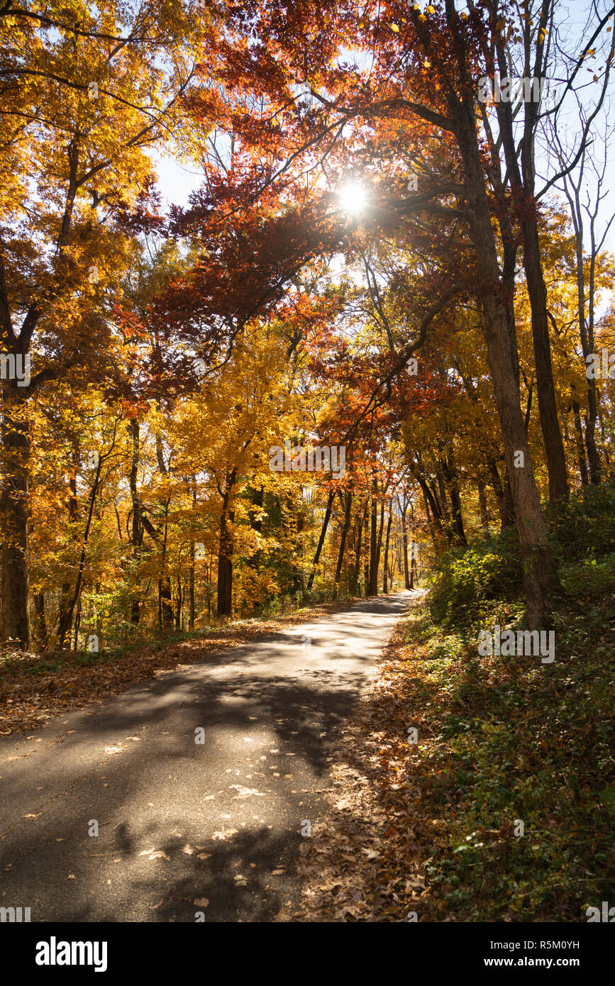 Ländliche Landschaft Land Straße fallen im Herbst die Blätter Farbe ändern Stockfoto