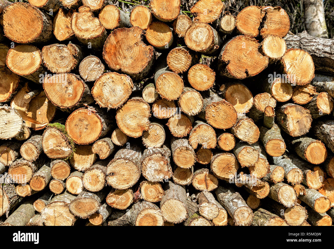 Gehackt und trockenes Brennholz als kreative Hintergrund gestapelt Stockfoto
