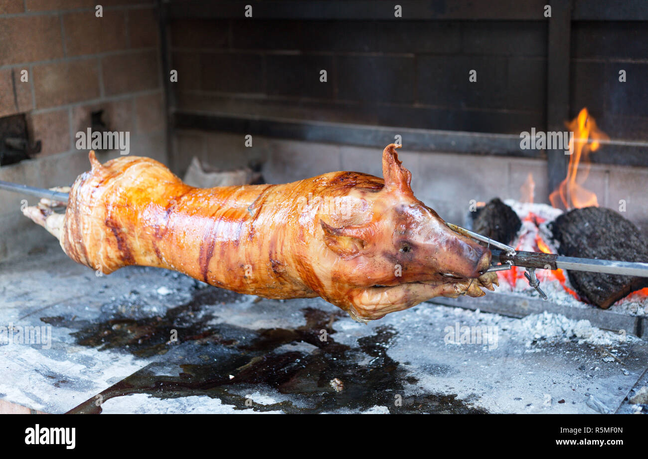 Gebratenes spanferkel -Fotos und -Bildmaterial in hoher Auflösung – Alamy