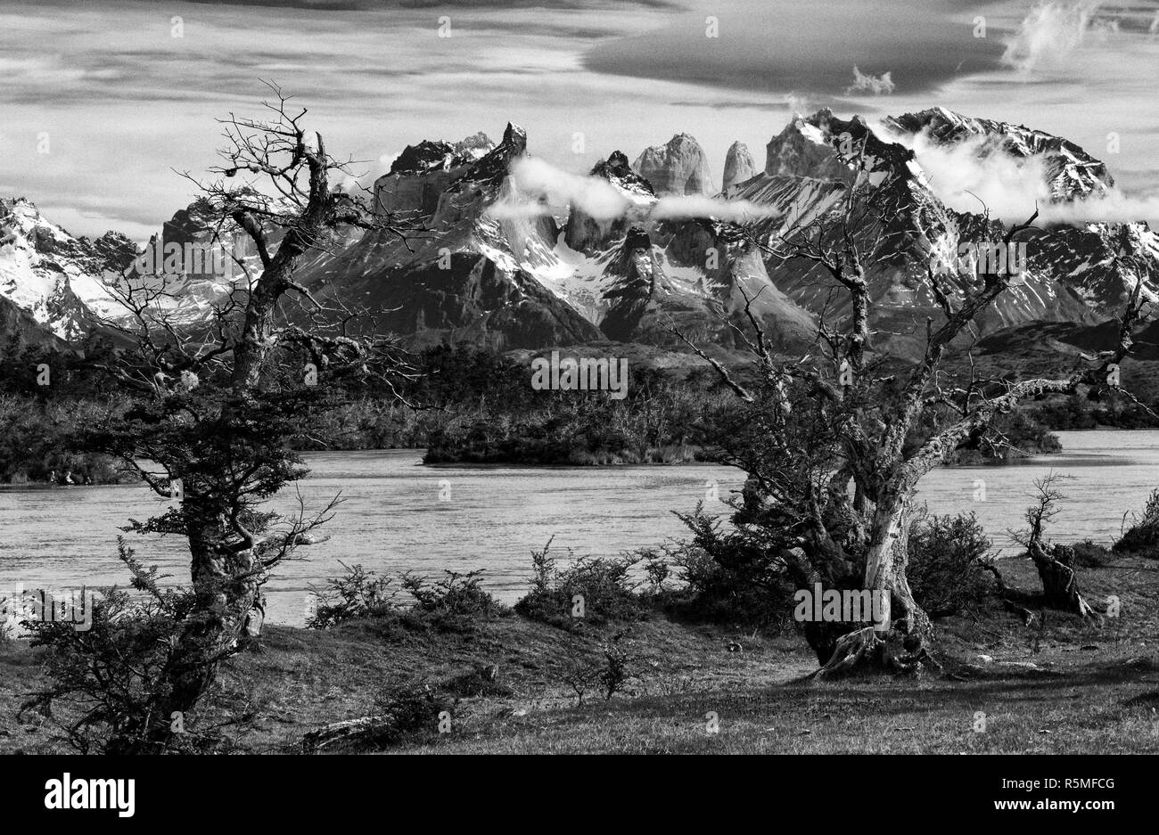 Rio Serrano. Torres del Paine, Chile. Stockfoto