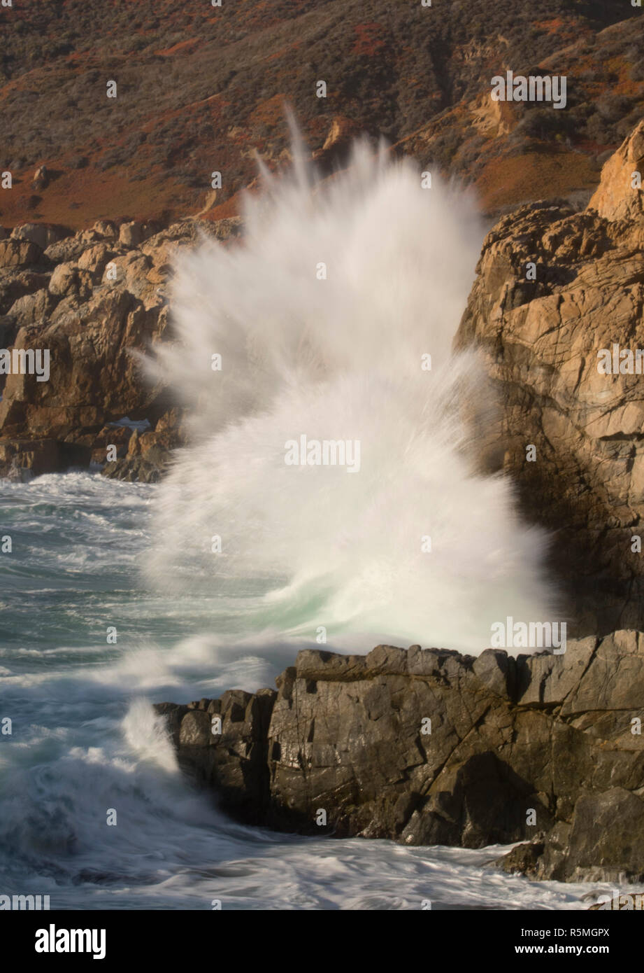 Wellen auf robusten Big Sur Küste, Garrapata State Park, Kalifornien Stockfoto
