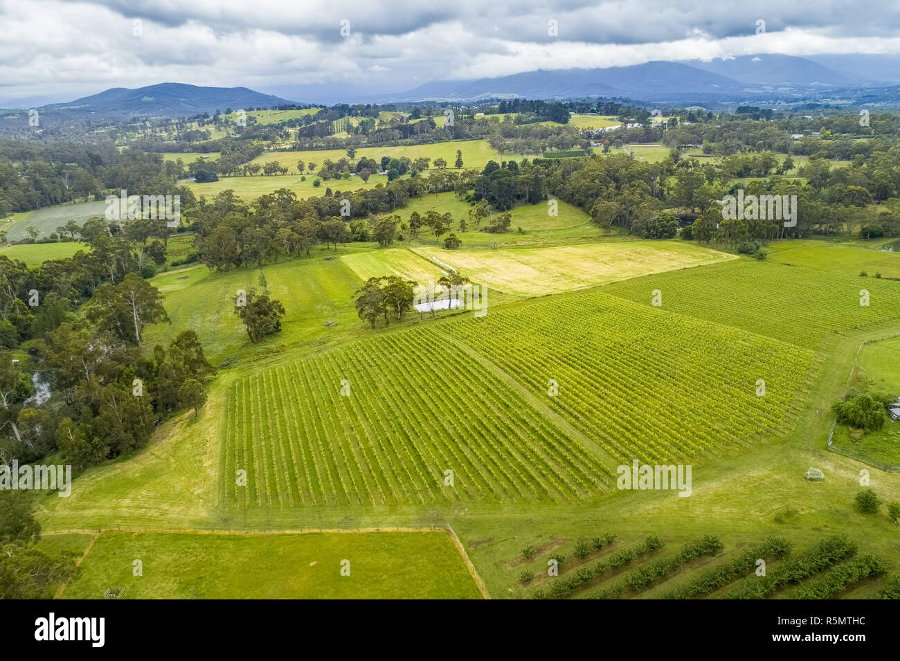 Luftaufnahme von geraden Reihen von Ernten und hügelige Landschaft im Osten Wandin, Melbourne, Australien Stockfoto