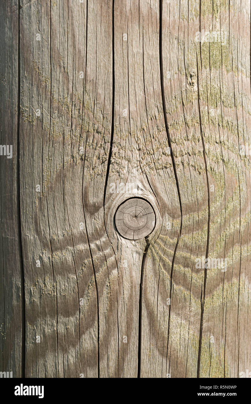 Holzstruktur. Hintergrund alte Platten Stockfoto