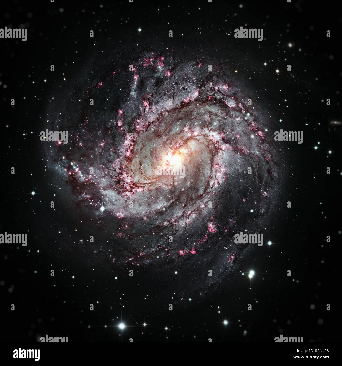 Messier 83 ist eine Spiralgalaxie im Sternbild Hydra. Stockfoto