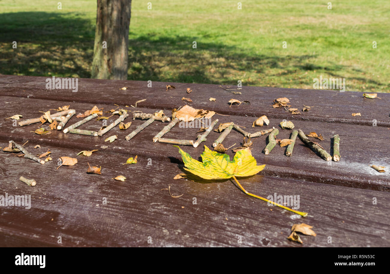 Herbst aus ree Zweige und Laub. Stockfoto