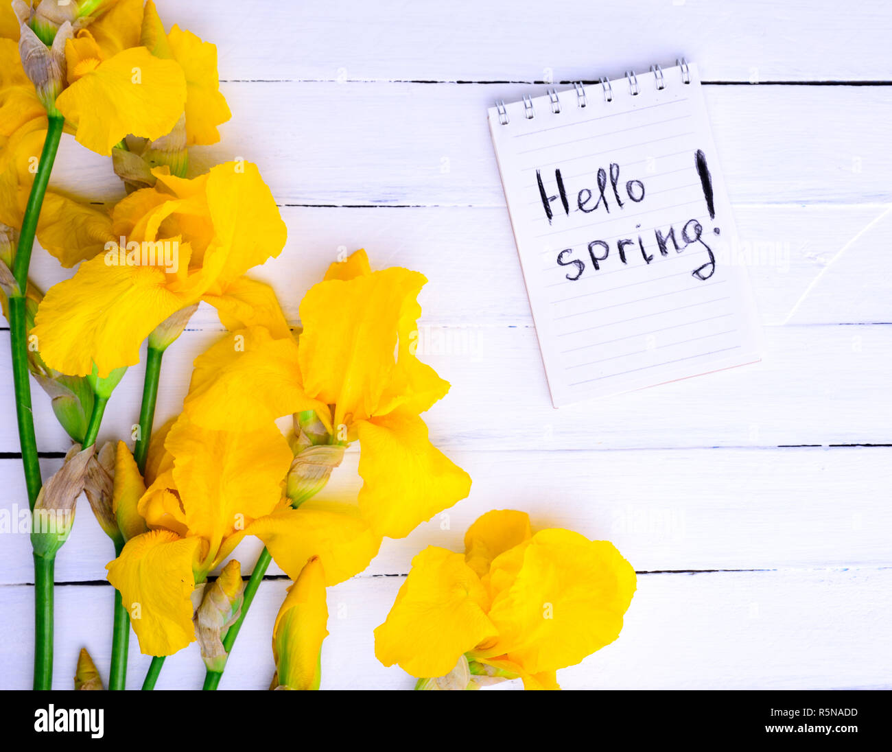 Strauß gelber Iris Stockfoto