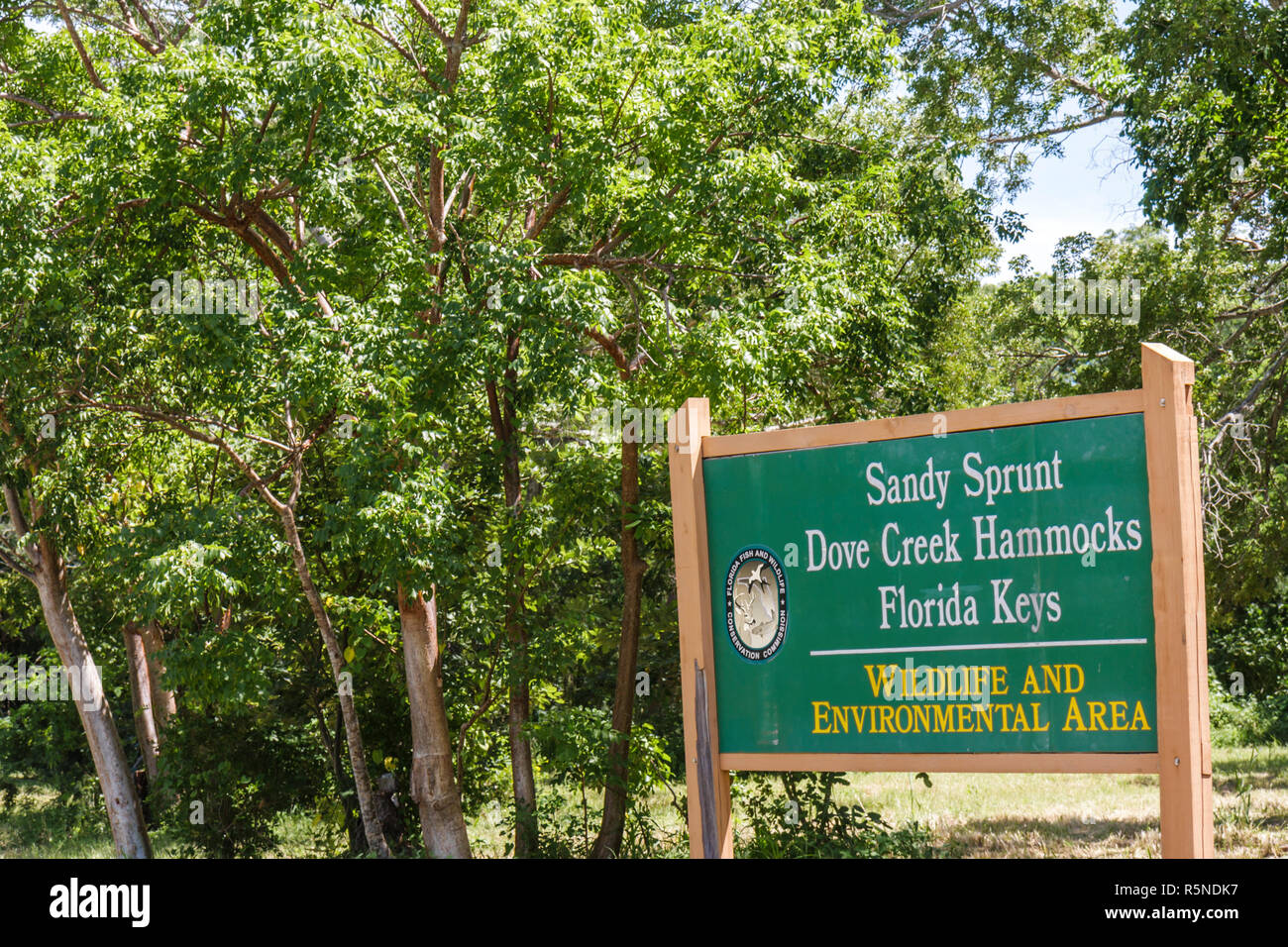 Florida Key Largo Florida Keys, US Highway Route 1, Overseas Highway, Sandy Sprunt Dove Creek Hängematten, Tierwelt und Umgebung, Ökosystem, Naturschutz, Schild, FL Stockfoto