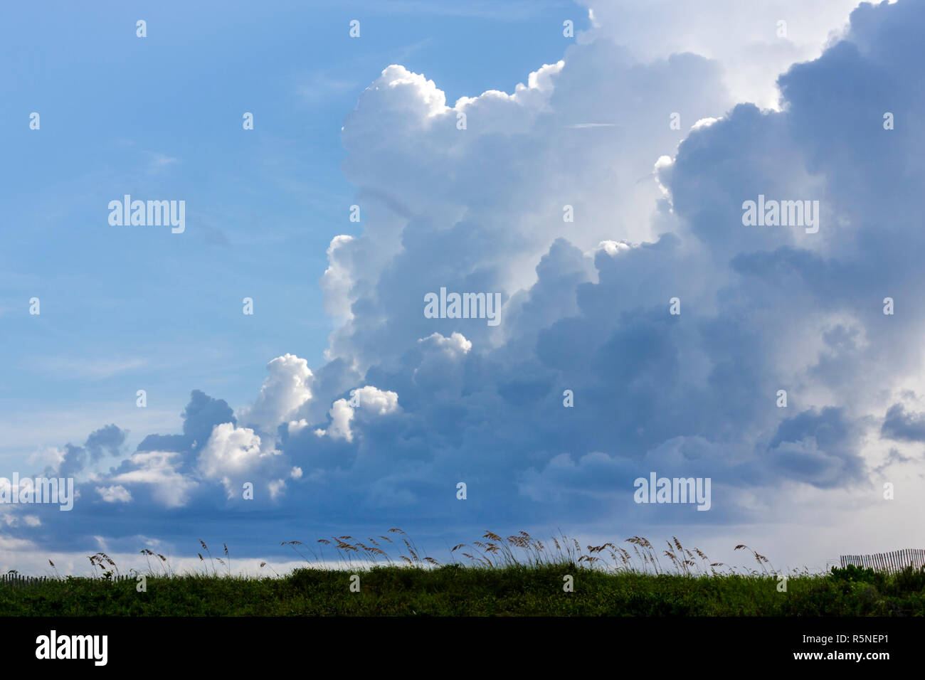 Miami Beach, Florida, Wolken, Sturm, Cumulonimbus, Natur, Wetter, Düne, Seeoats, geschütztes Gras, FL090930083 Stockfoto