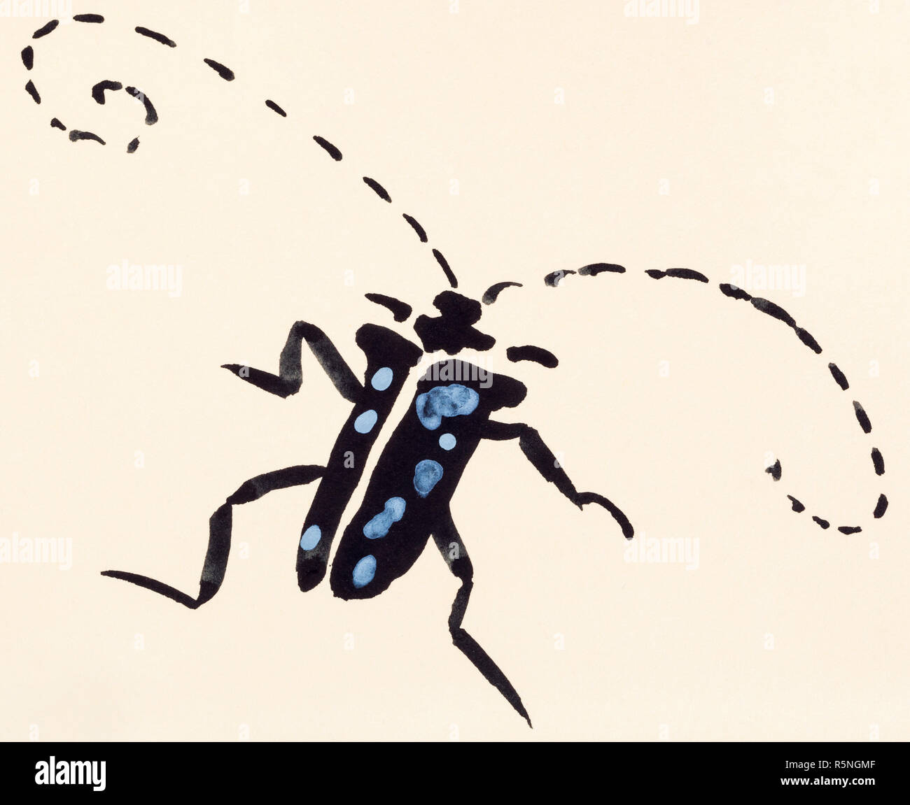 Longhorn beetle Hand auf farbigem Papier gemalt Stockfoto
