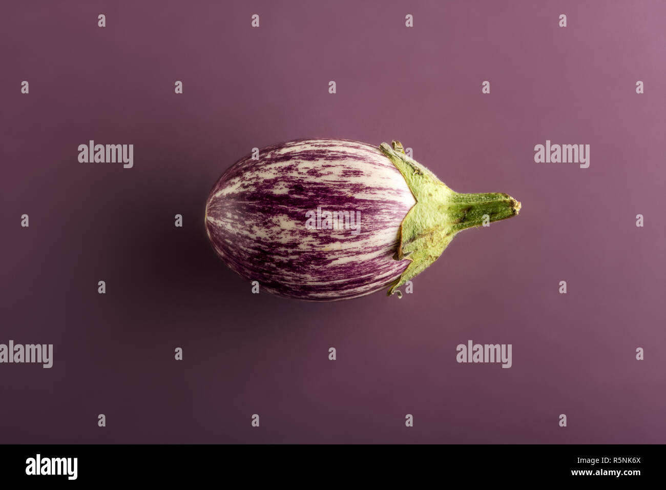 Eine kleine Aubergine oder eierfrucht in enger gesehen - von seiner Seite, in der Mitte auf Violett Hintergrund isoliert Stockfoto
