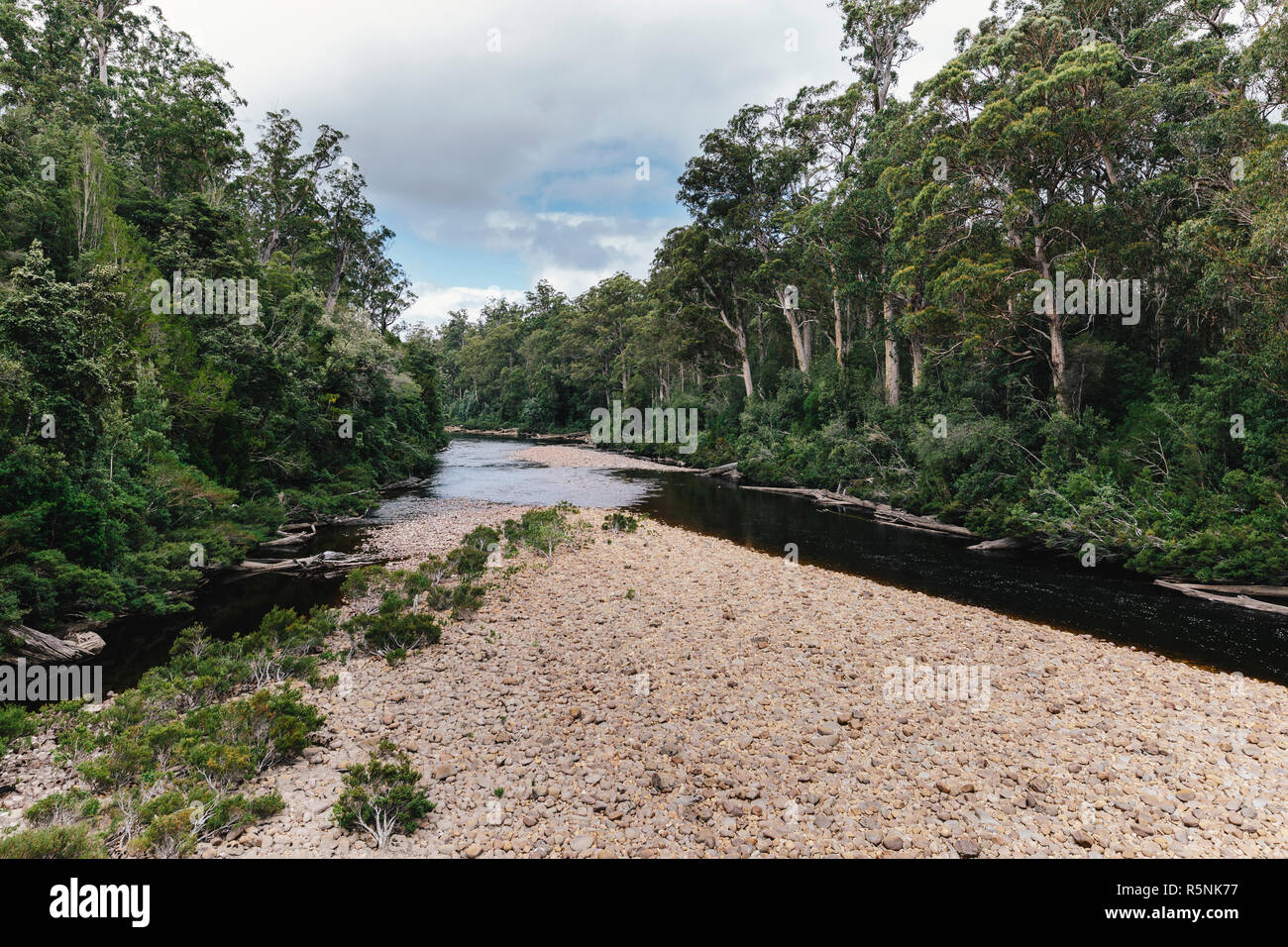 Schwingende Brücken gehen, Tahune Airwalk, Greevestone, Huon Valley, Tasmanien, Australien Stockfoto