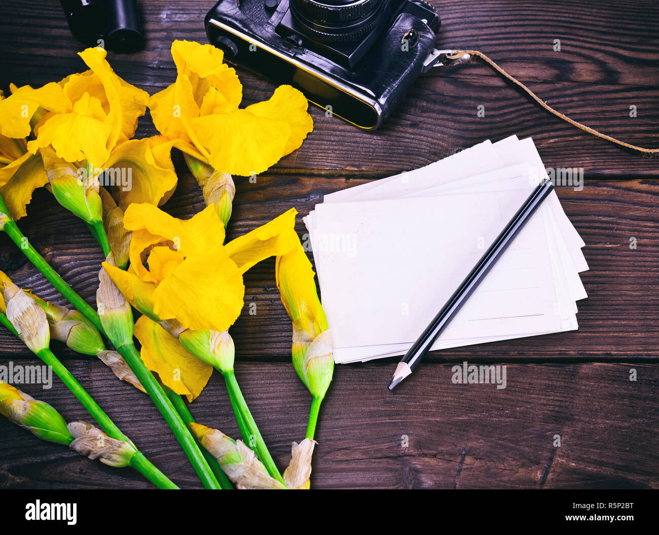 Paper Postcard und Bukett von gelben Schwertlilien Stockfoto