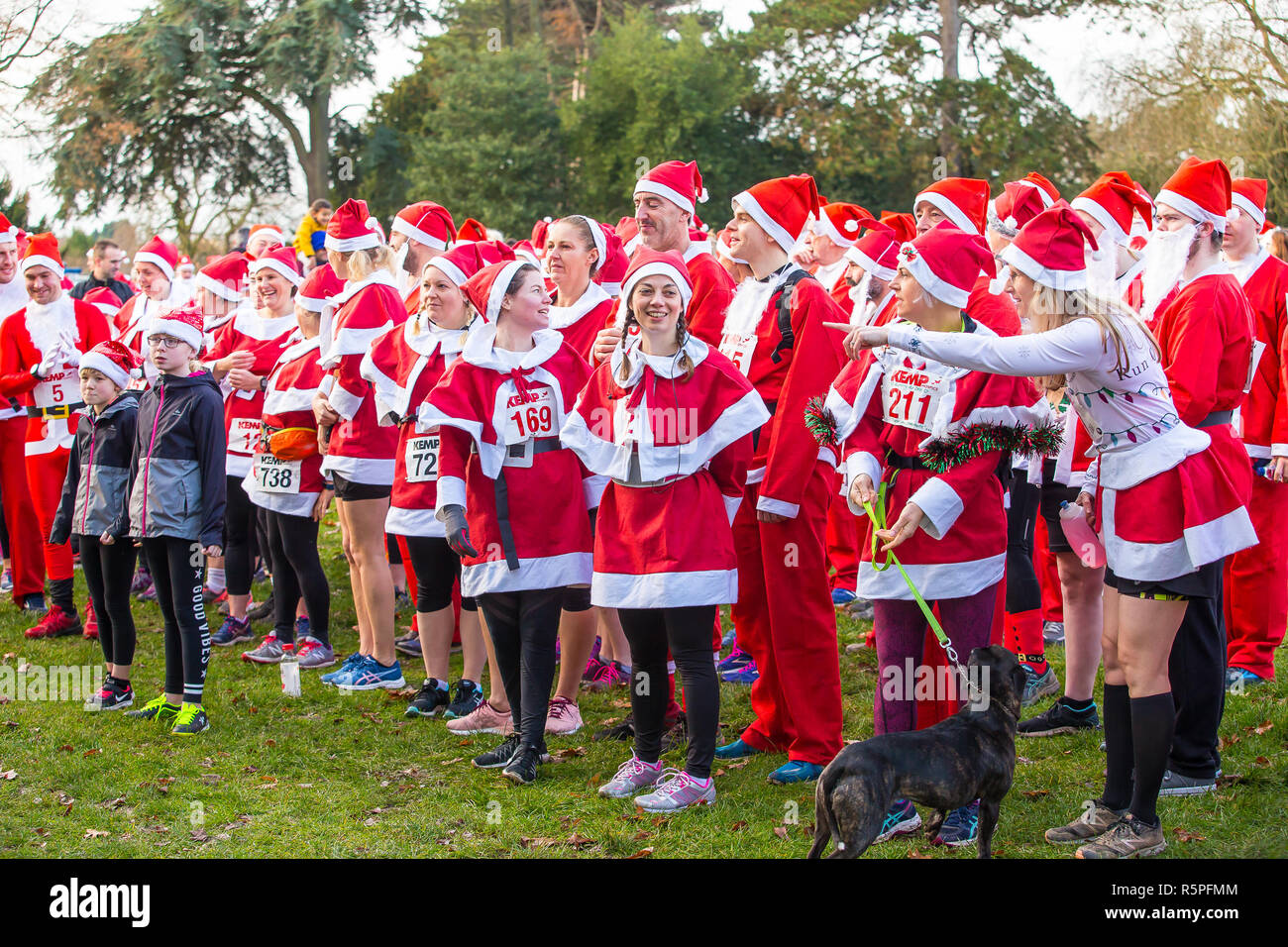 Kidderminster, Großbritannien. 2. Dezember, 2018. Es ist die Zeit des Jahres wieder da Hunderte Weihnachtsmänner laufen zusammen in Kidderminster zur Unterstützung der jährlichen Kemp's Hospice Santa Fun Run sammeln. Ob es sich um die 10k, 5k oder 1k laufen, alle Läufer setzen Ihre Best Foot Forward und höchste Anstrengung Fundraising für das hospiz Appell zu helfen. Quelle: Lee Hudson/Alamy leben Nachrichten Stockfoto