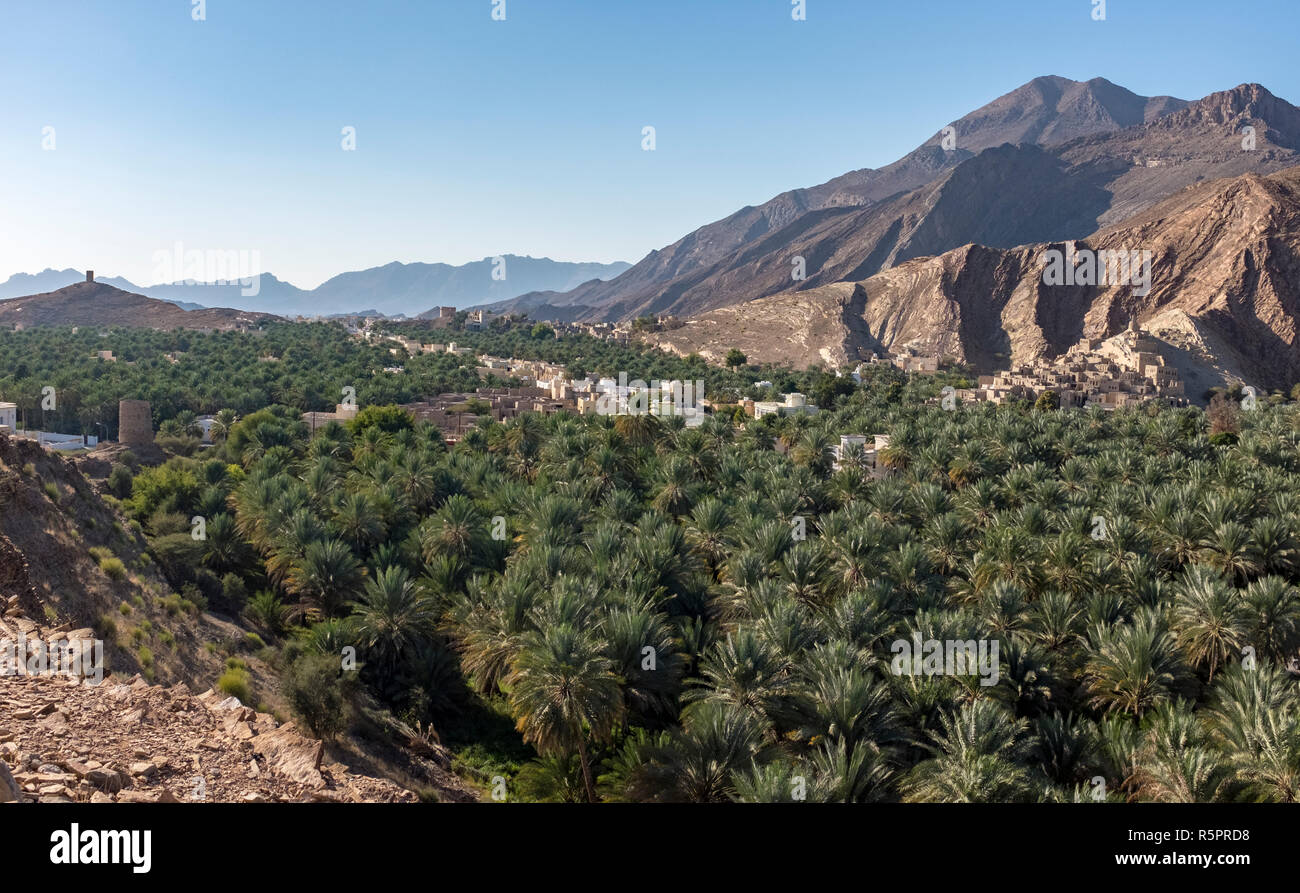 Der aus dem 17. Jahrhundert Dorf Birkat Al Mawz nach Datum palm Plantagen umgeben, mit modernen Häusern im Vordergrund, im Sultanat Oman Stockfoto