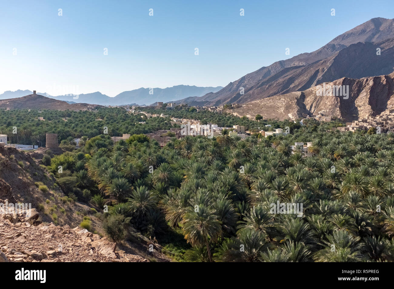 Das Dorf Birkat Al Mawz nach Datum Palmplantagen im Sultanat Oman umgeben Stockfoto