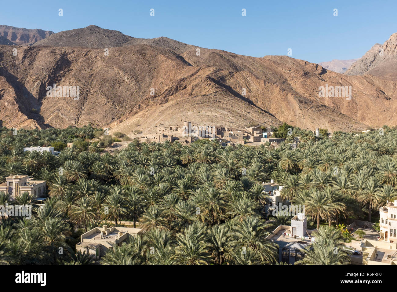 Der aus dem 17. Jahrhundert Dorf Birkat Al Mawz nach Datum palm Plantagen umgeben, mit modernen Häusern im Vordergrund, im Sultanat Oman Stockfoto