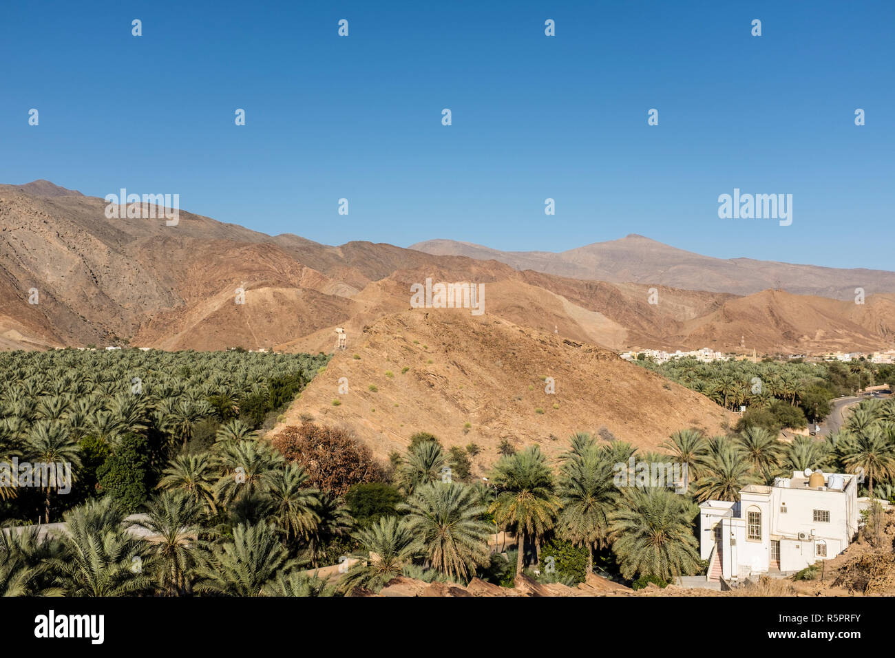 Eine alte Defensive fort in dem Dorf Birkat Al Mawz nach Datum Palmplantagen im Sultanat Oman umgeben Stockfoto