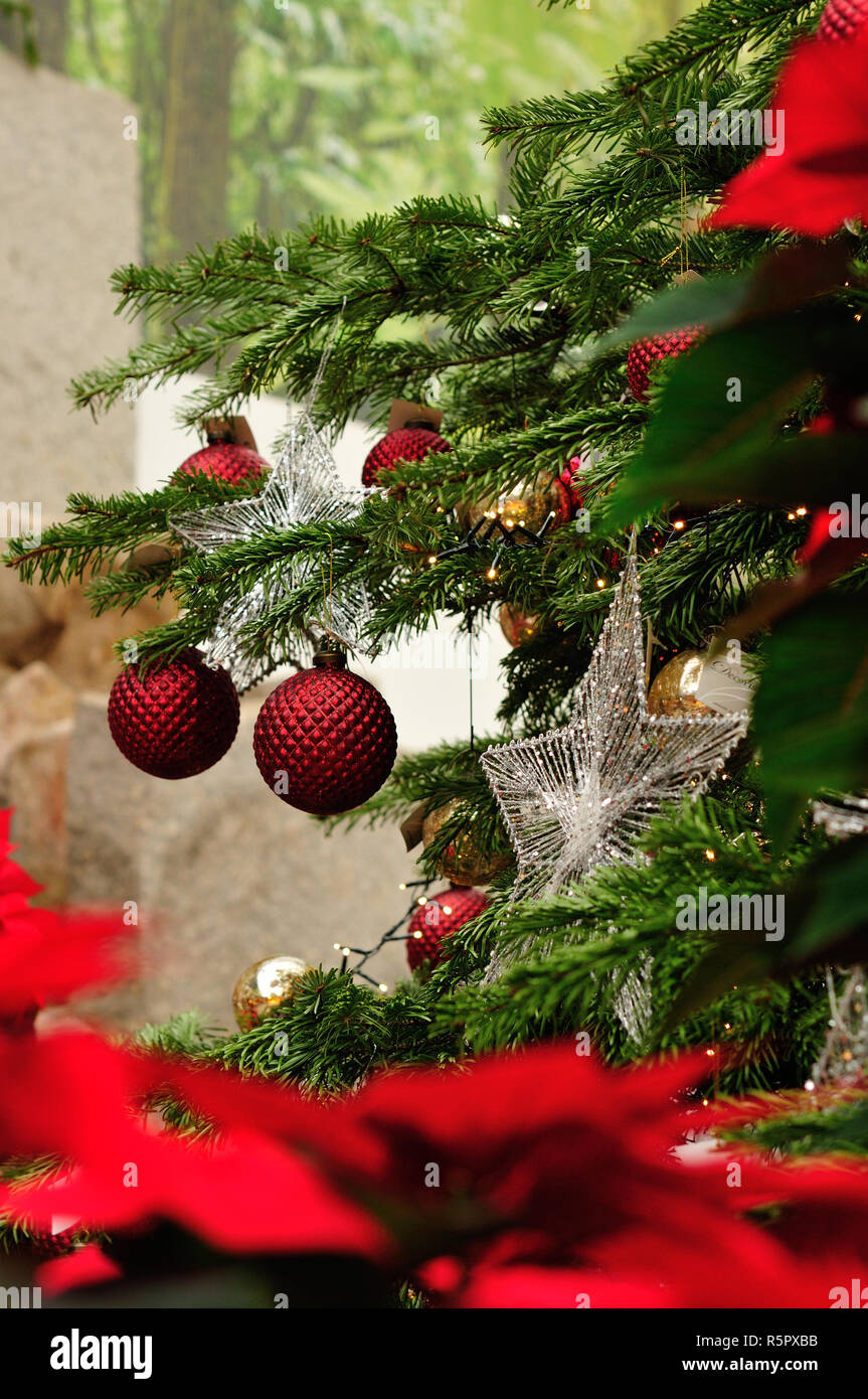 Weihnachts-Dekoration auf Baum Stockfoto