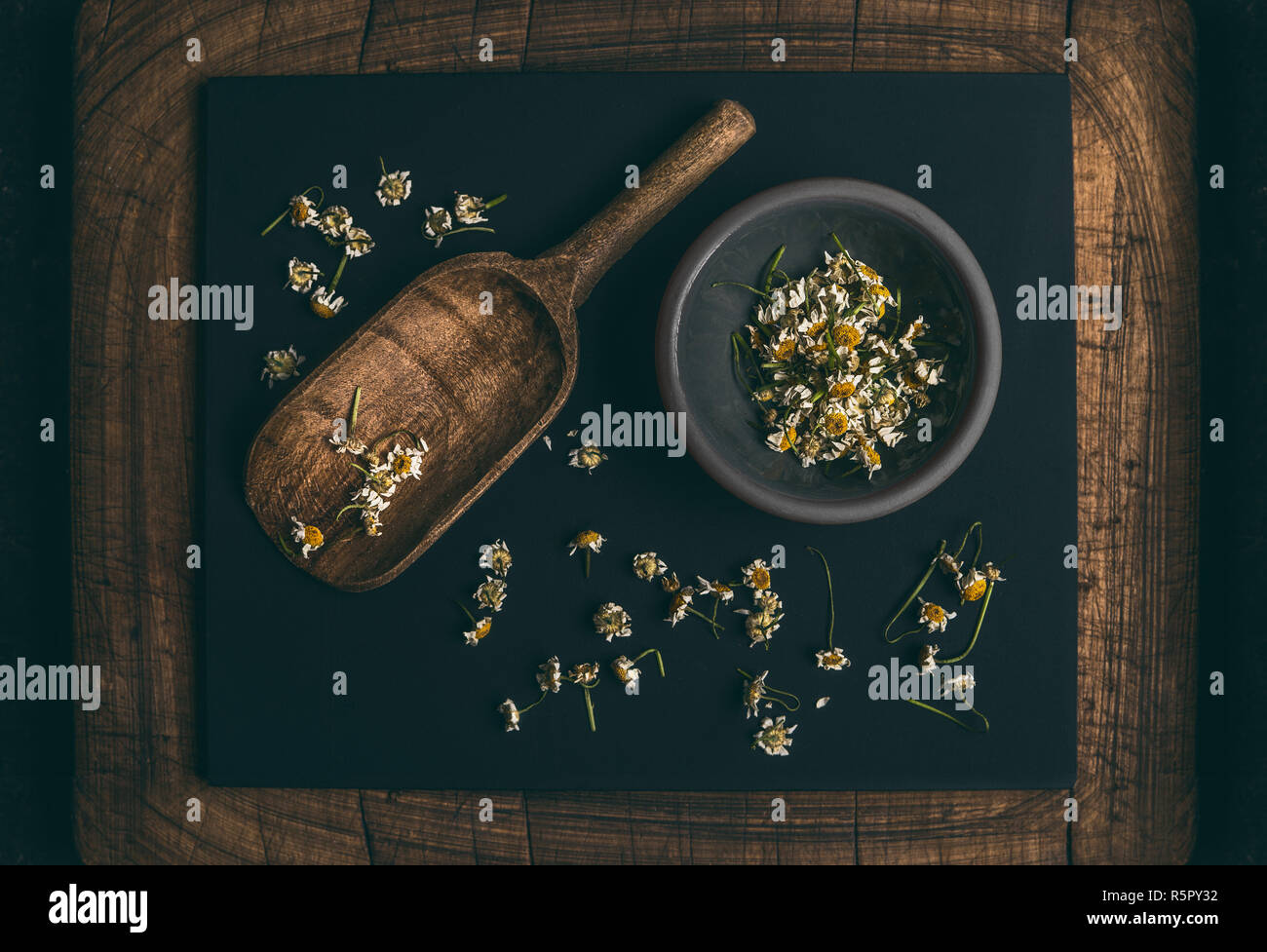 Getrocknete Kamillenblüten in kleinen Schüssel und hölzerne Schaufel Löffel auf dunklen schwarzen Brett Hintergrund, Ansicht von oben. Heilkräuter und Kräutermedizin Konzept. Ho Stockfoto