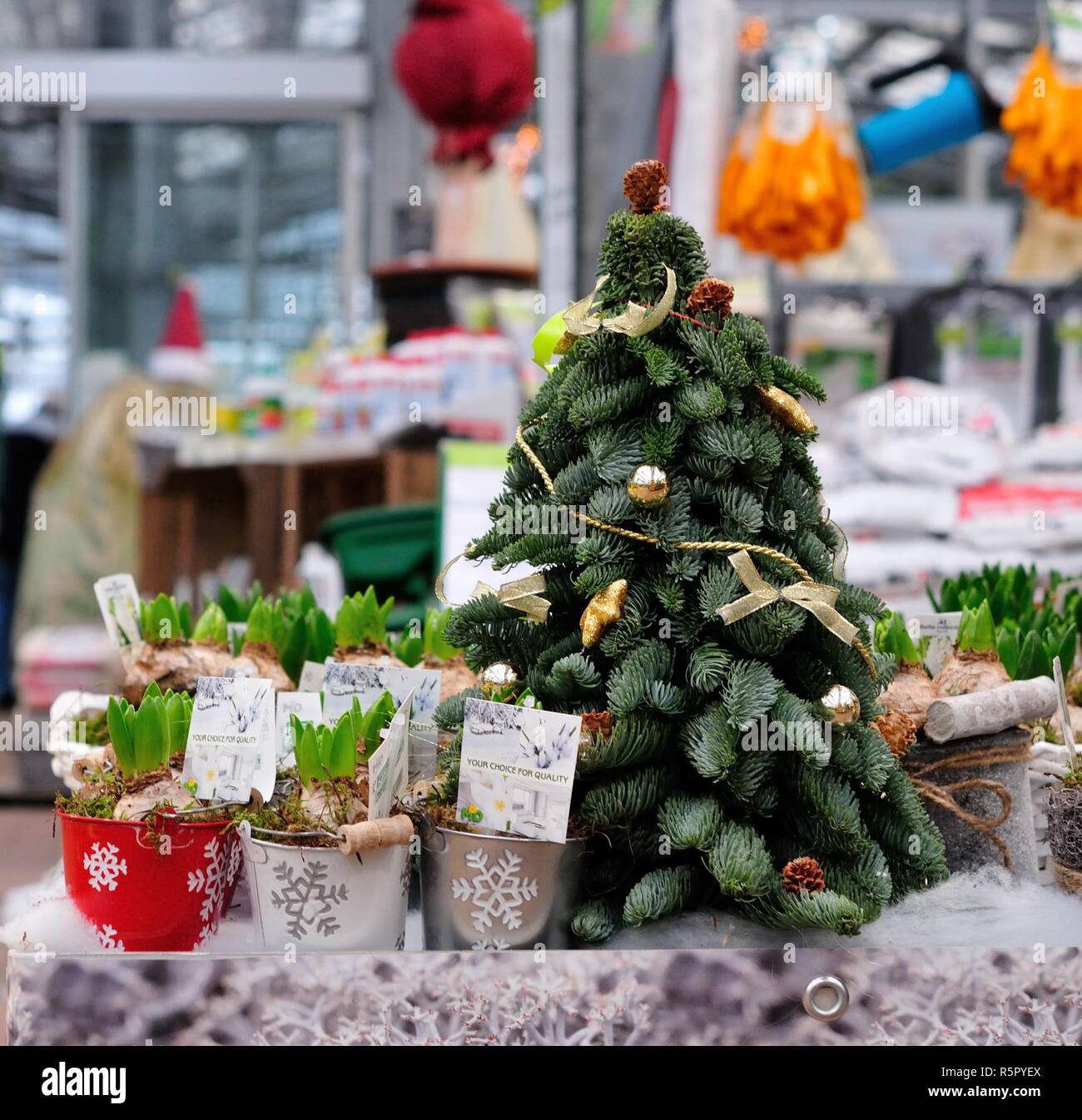 Weihnachtsdekoration mit goldenen Hirsch Stockfoto