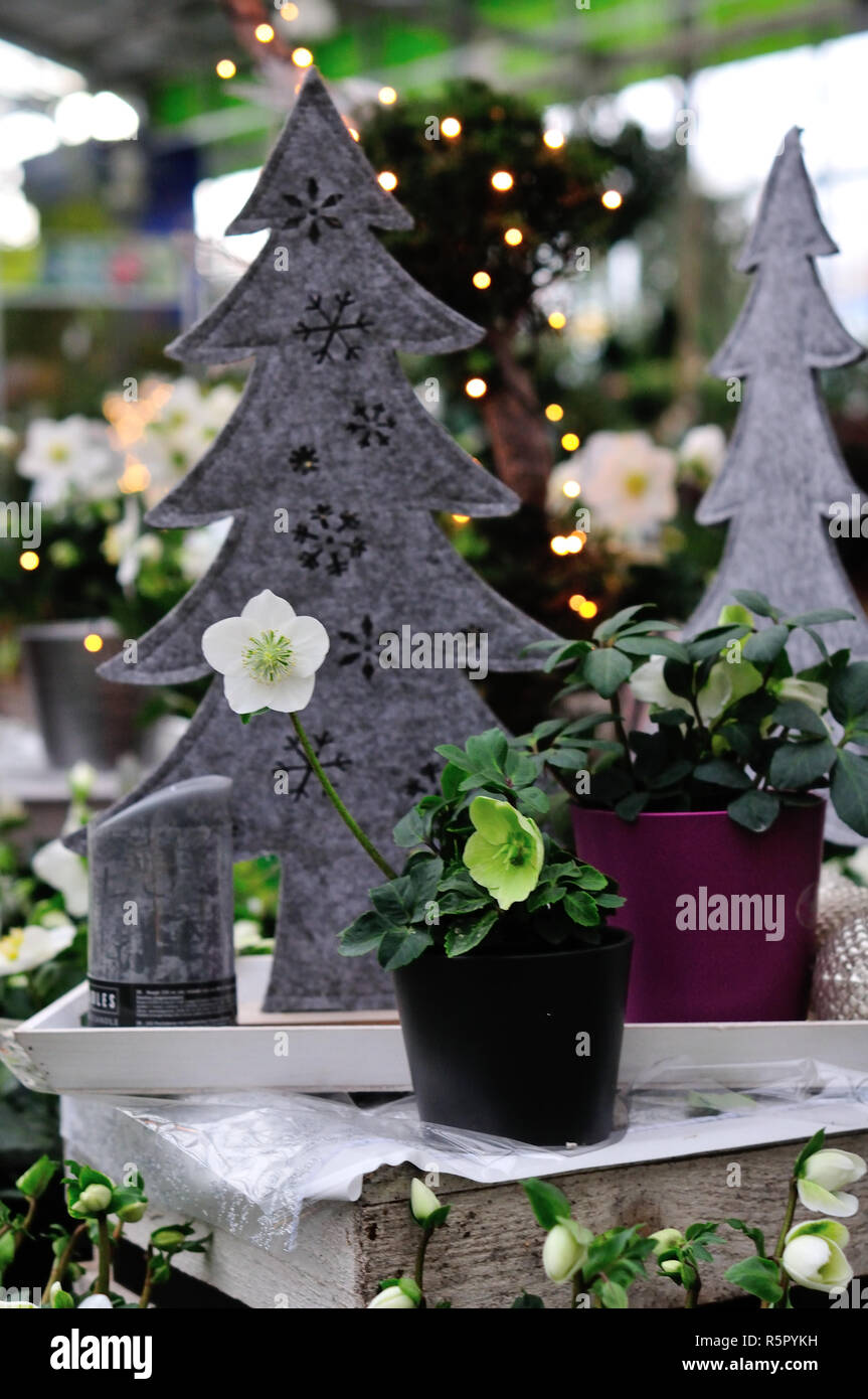 Weihnachtsschmuck in einem Geschäft Stockfoto