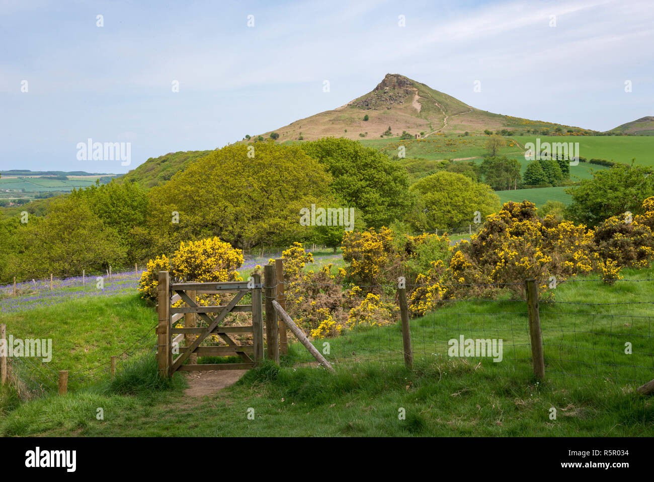 Roseberry Topping an einem sonnigen Frühlingstag in der North York Moors National Park, England. Stockfoto