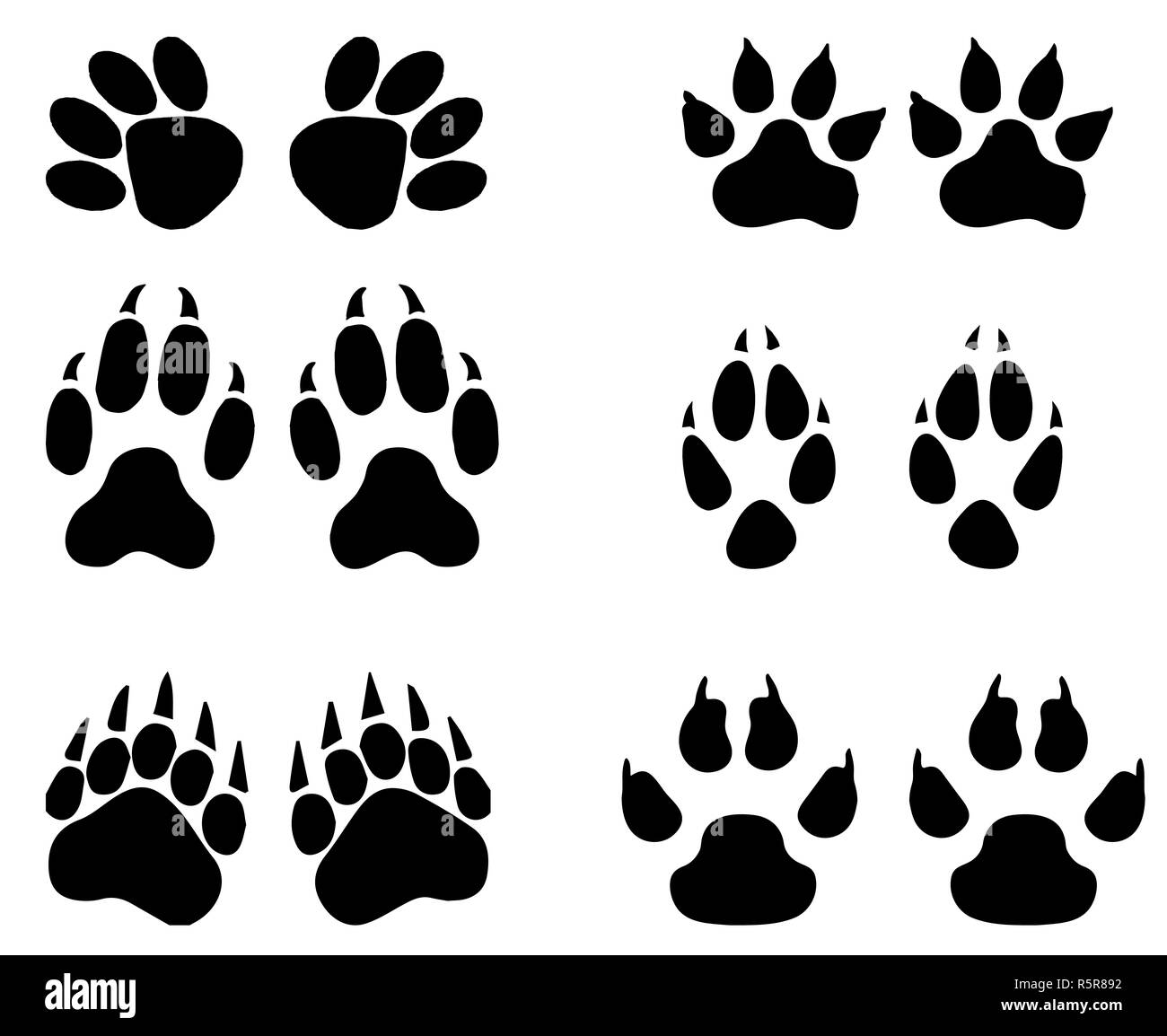 Satz von tierischen Wanderwege, Fußabdrücke mit Namen isoliert auf weißem Hintergrund. Silhouetten Abbildung Stockfoto