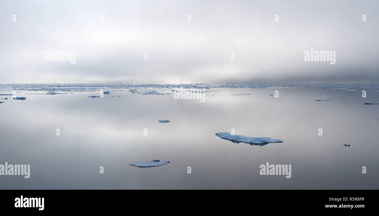 Packeis, Svalbard Stockfoto