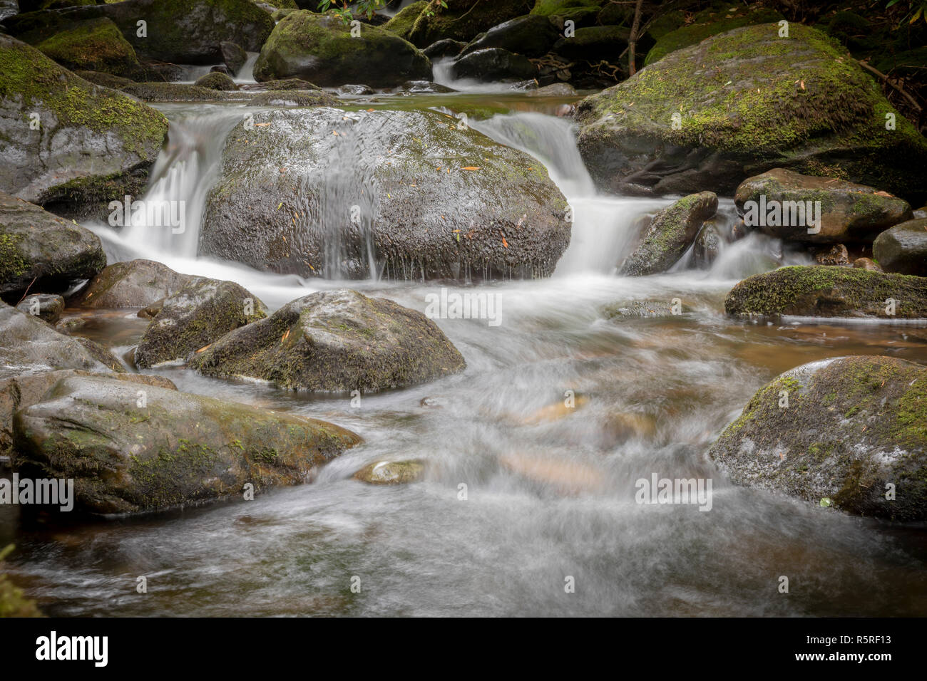 Torc Wasserfall, Killarney, Co.Kerry, Irland. Stockfoto